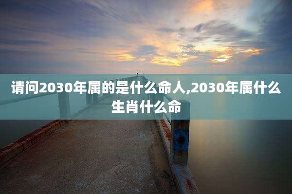 请问2030年属的是什么命人,2030年属什么生肖什么命