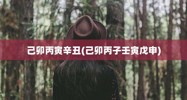 己卯丙寅辛丑(己卯丙子壬寅戊申)
