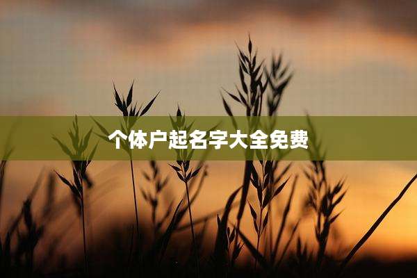 个体户起名字大全免费