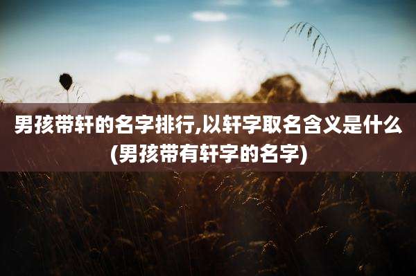 男孩带轩的名字排行,以轩字取名含义是什么(男孩带有轩字的名字)