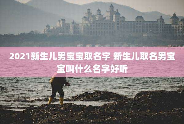 2021新生儿男宝宝取名字 新生儿取名男宝宝叫什么名字好听