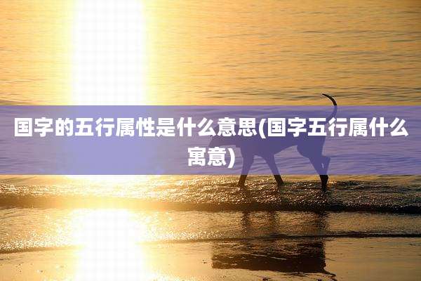 国字的五行属性是什么意思(国字五行属什么寓意)
