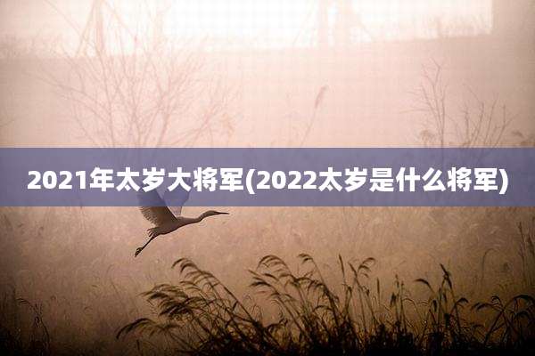 2021年太岁大将军(2022太岁是什么将军)