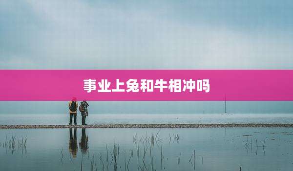 事业上兔和牛相冲吗