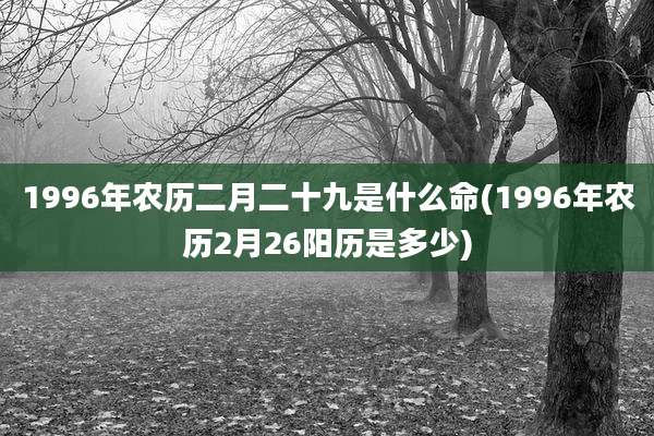 1996年农历二月二十九是什么命(1996年农历2月26阳历是多少)
