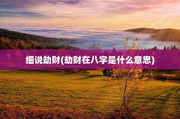 细说劫财(劫财在八字是什么意思)