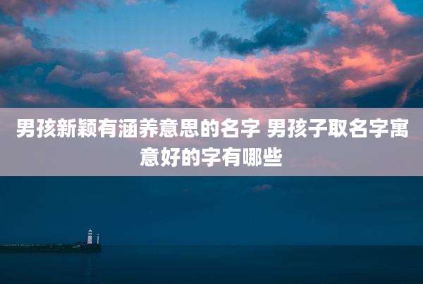 男孩新颖有涵养意思的名字 男孩子取名字寓意好的字有哪些