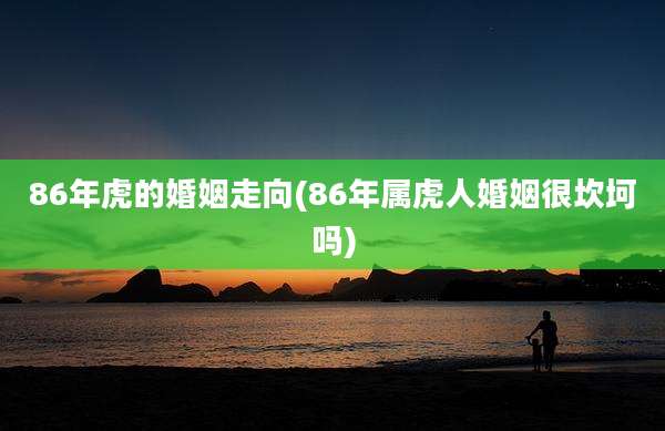 86年虎的婚姻走向(86年属虎人婚姻很坎坷吗)