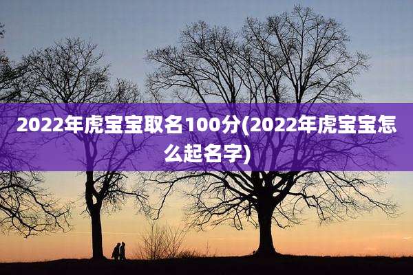 2022年虎宝宝取名100分(2022年虎宝宝怎么起名字)