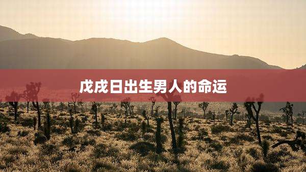 戊戌日出生男人的命运