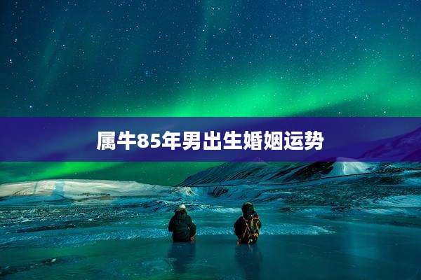 属牛85年男出生婚姻运势