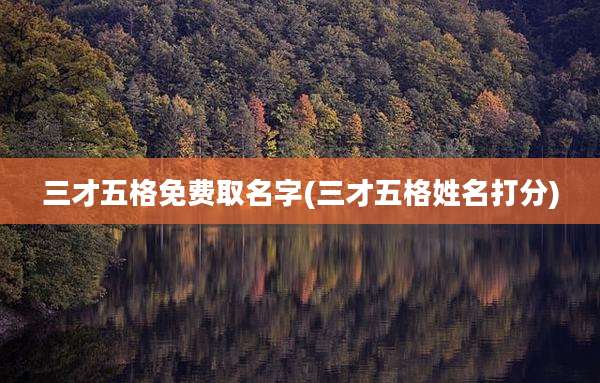 三才五格免费取名字(三才五格姓名打分)