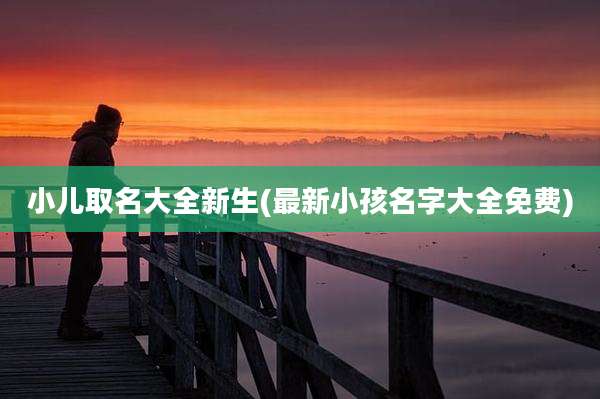 小儿取名大全新生(最新小孩名字大全免费)
