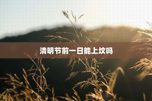 清明节前一日能上坟吗