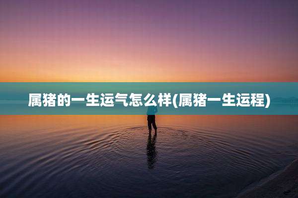 属猪的一生运气怎么样(属猪一生运程)