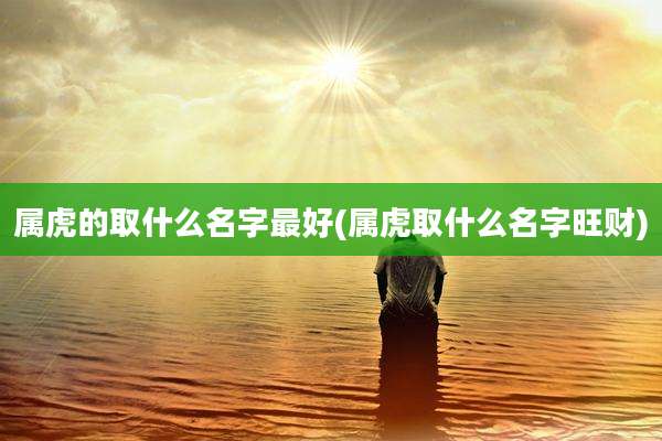 属虎的取什么名字最好(属虎取什么名字旺财)