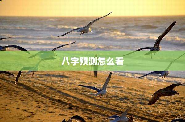 八字预测怎么看