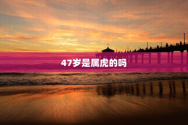 47岁是属虎的吗