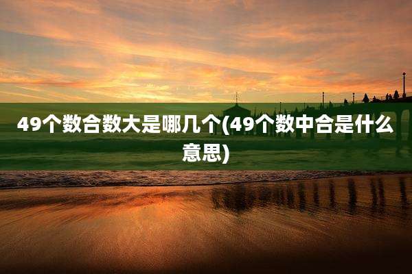 49个数合数大是哪几个(49个数中合是什么意思)