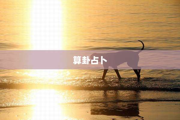 算卦占卜