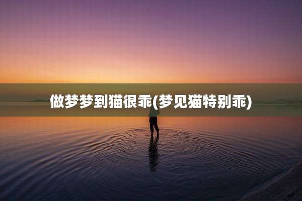 做梦梦到猫很乖(梦见猫特别乖)