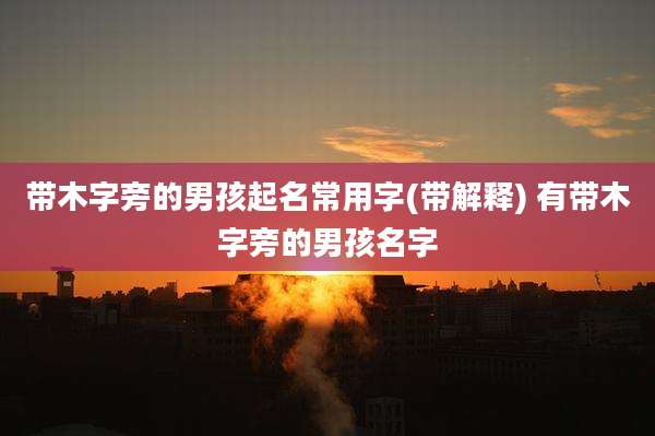 带木字旁的男孩起名常用字(带解释) 有带木字旁的男孩名字