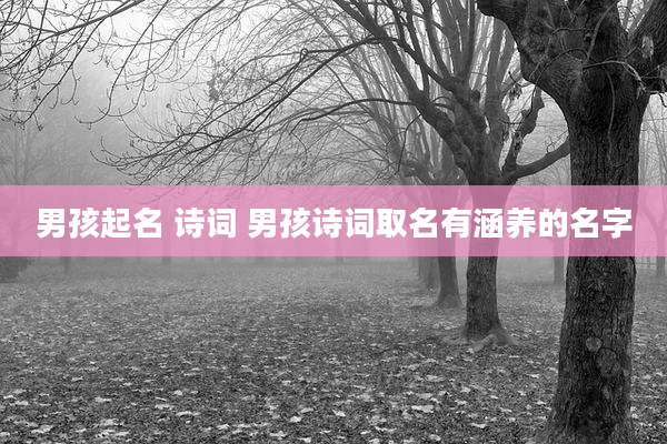 男孩起名 诗词 男孩诗词取名有涵养的名字