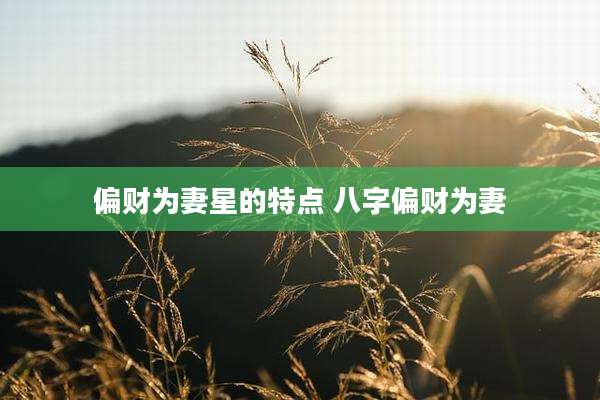 偏财为妻星的特点 八字偏财为妻