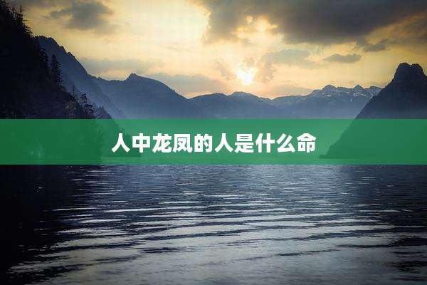 人中龙凤的人是什么命