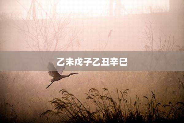 乙未戊子乙丑辛巳