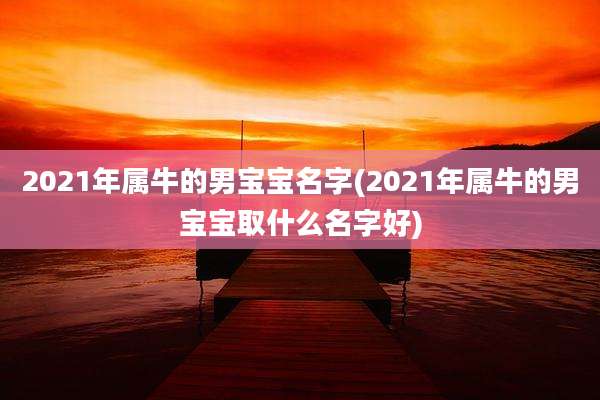 2021年属牛的男宝宝名字(2021年属牛的男宝宝取什么名字好)