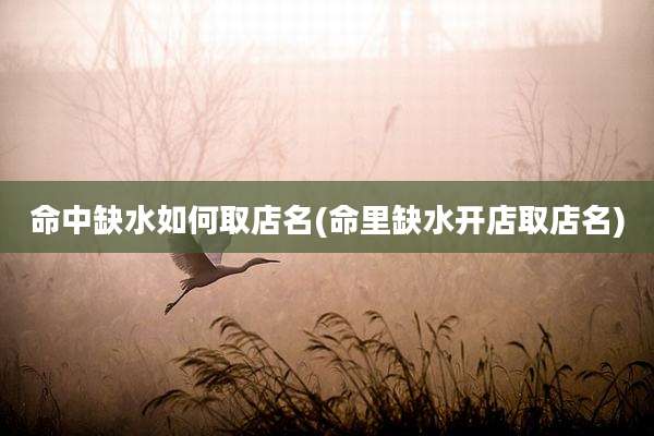 命中缺水如何取店名(命里缺水开店取店名)