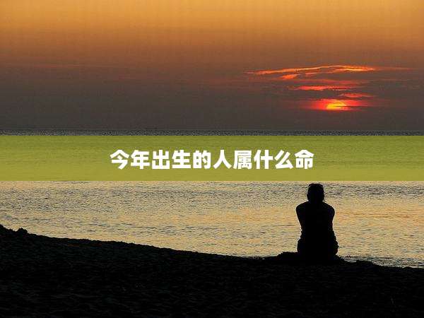 今年出生的人属什么命