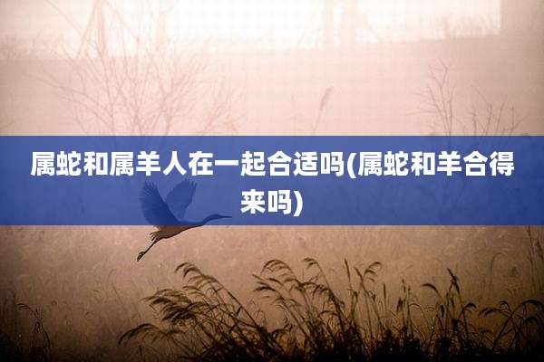 属蛇和属羊人在一起合适吗(属蛇和羊合得来吗)