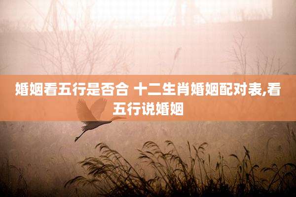 婚姻看五行是否合 十二生肖婚姻配对表,看五行说婚姻