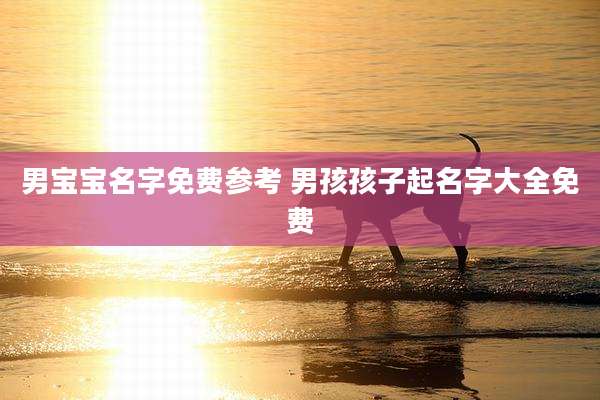 男宝宝名字免费参考 男孩孩子起名字大全免费
