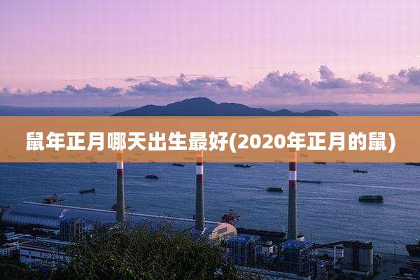 鼠年正月哪天出生最好(2020年正月的鼠)