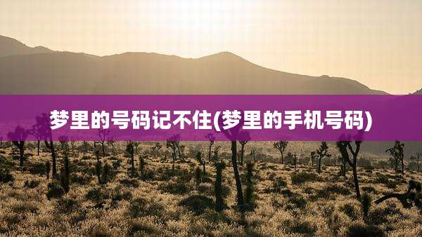 梦里的号码记不住(梦里的手机号码)