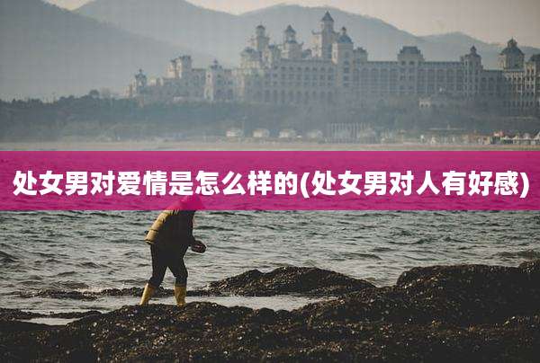 处女男对爱情是怎么样的(处女男对人有好感)