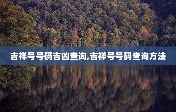 吉祥号号码吉凶查询,吉祥号号码查询方法