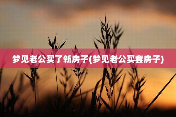 梦见老公买了新房子(梦见老公买套房子)