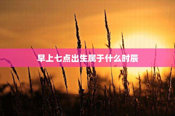 早上七点出生属于什么时辰