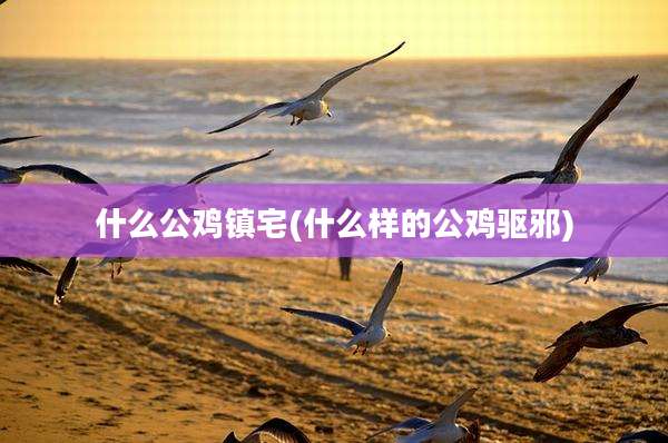 什么公鸡镇宅(什么样的公鸡驱邪)