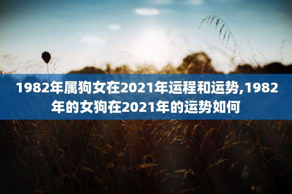 1982年属狗女在2021年运程和运势,1982年的女狗在2021年的运势如何
