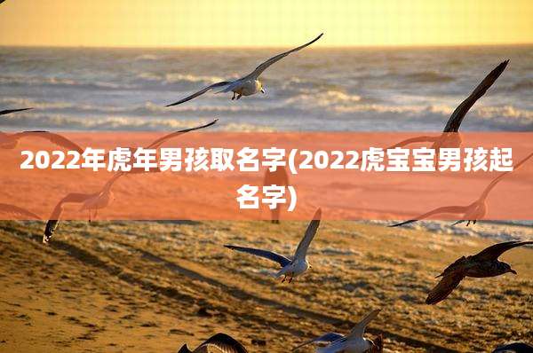 2022年虎年男孩取名字(2022虎宝宝男孩起名字)