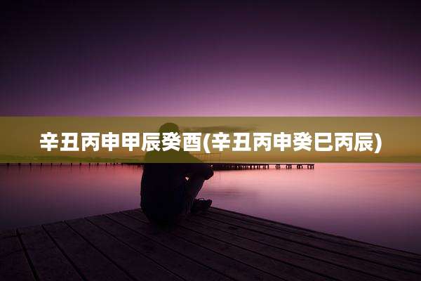 辛丑丙申甲辰癸酉(辛丑丙申癸巳丙辰)