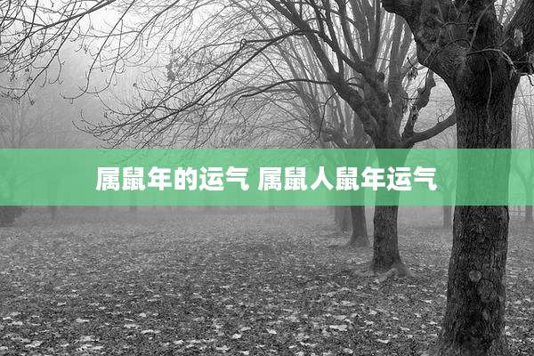 属鼠年的运气 属鼠人鼠年运气