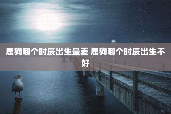 属狗哪个时辰出生最差 属狗哪个时辰出生不好