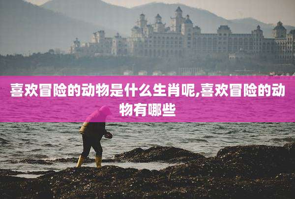 喜欢冒险的动物是什么生肖呢,喜欢冒险的动物有哪些