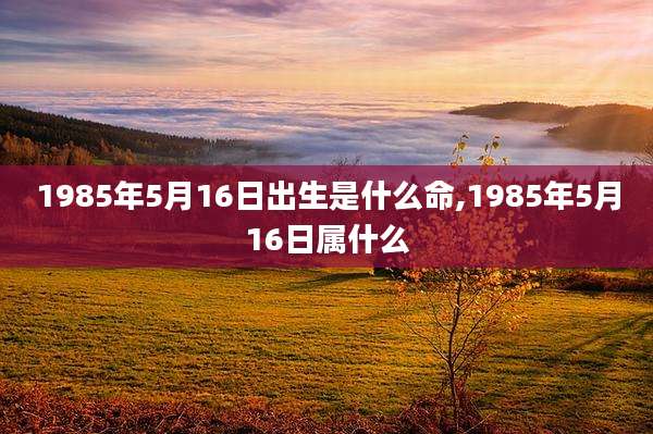 1985年5月16日出生是什么命,1985年5月16日属什么